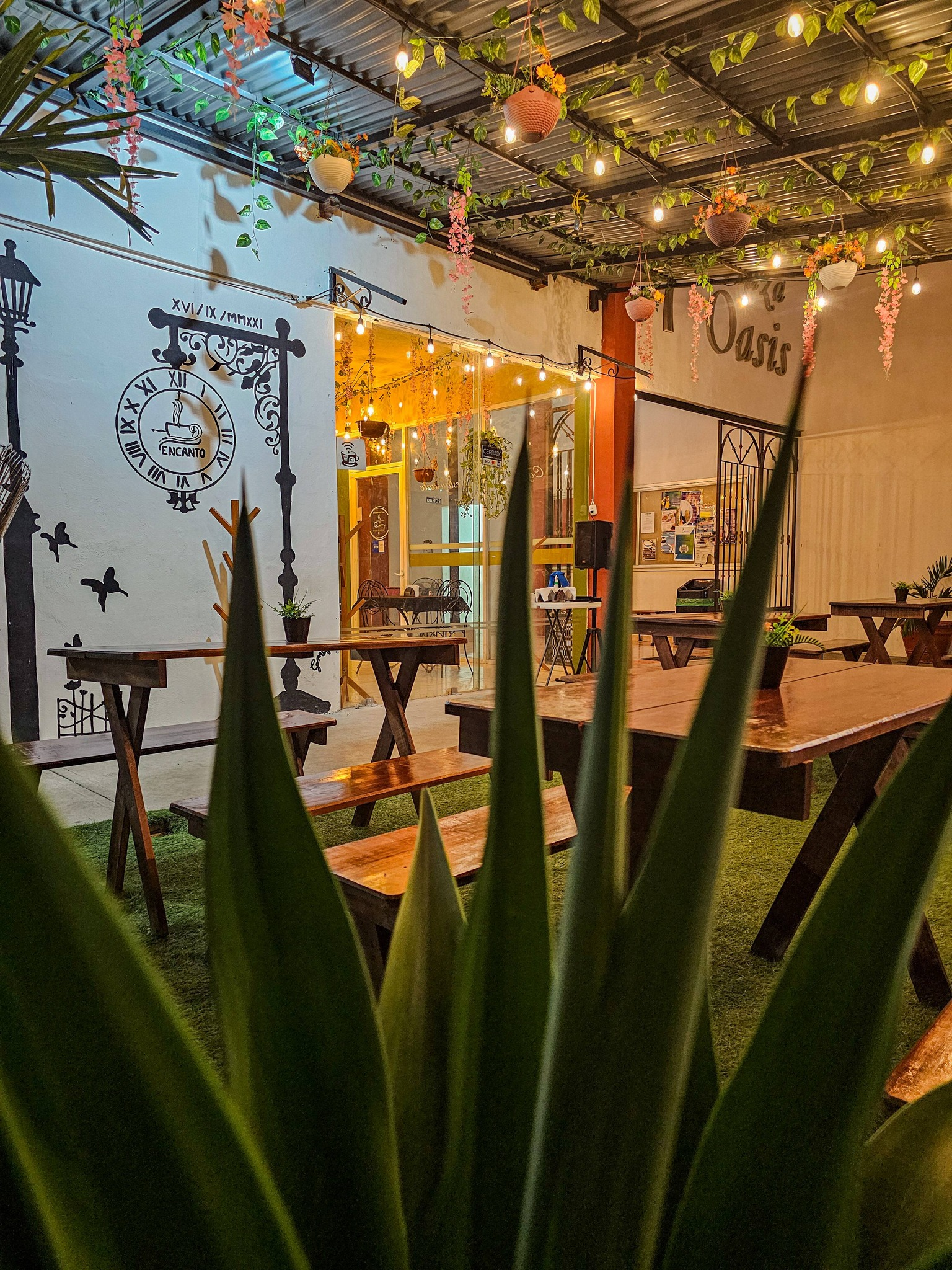 Interior Cafetería Encanto